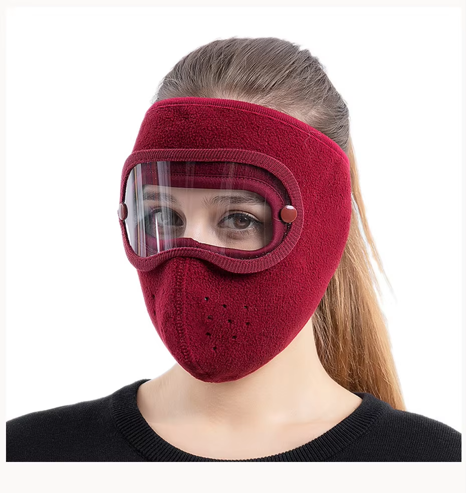 Windproof Anti Dust Full Face Masks Cycling Ski Breathable Masks Eye HD Anti Fog Goggles Hood Cover Winter Warm Hat Caps (random color) Rs 280